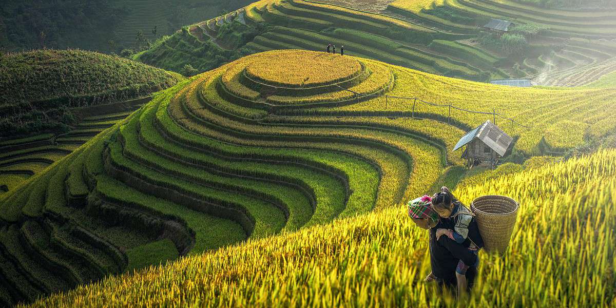 Discovering Authentic Vietnam